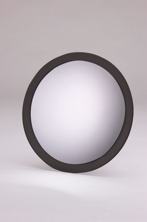 Magnifying Mirror (15X)