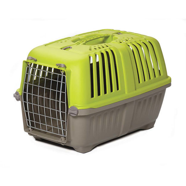 Midwest Spree Plastic Pet Carrier Green 18.875