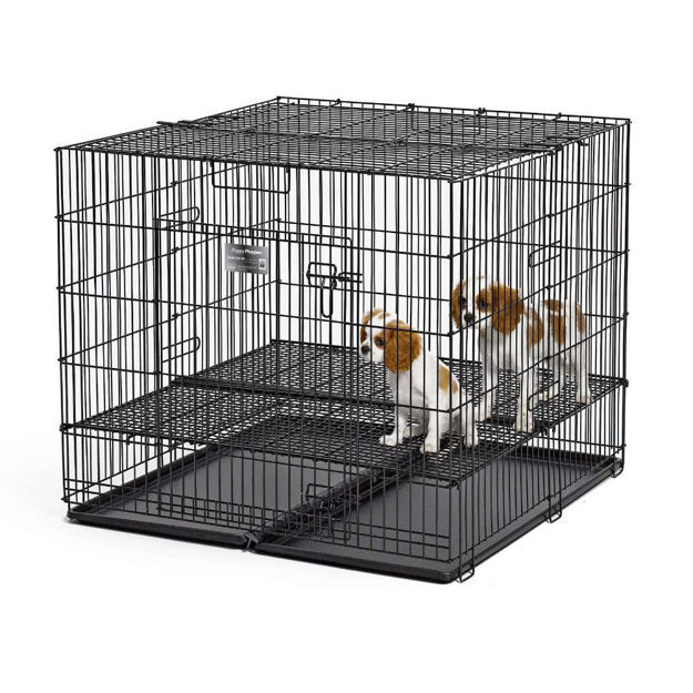 36x36 dog kennel