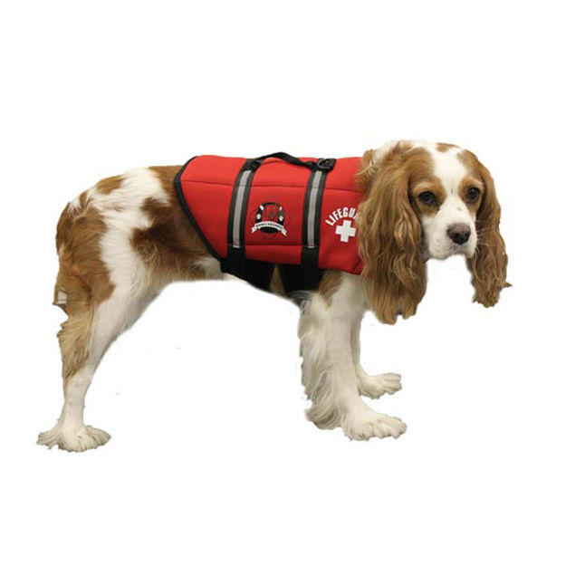 dog life jacket kmart