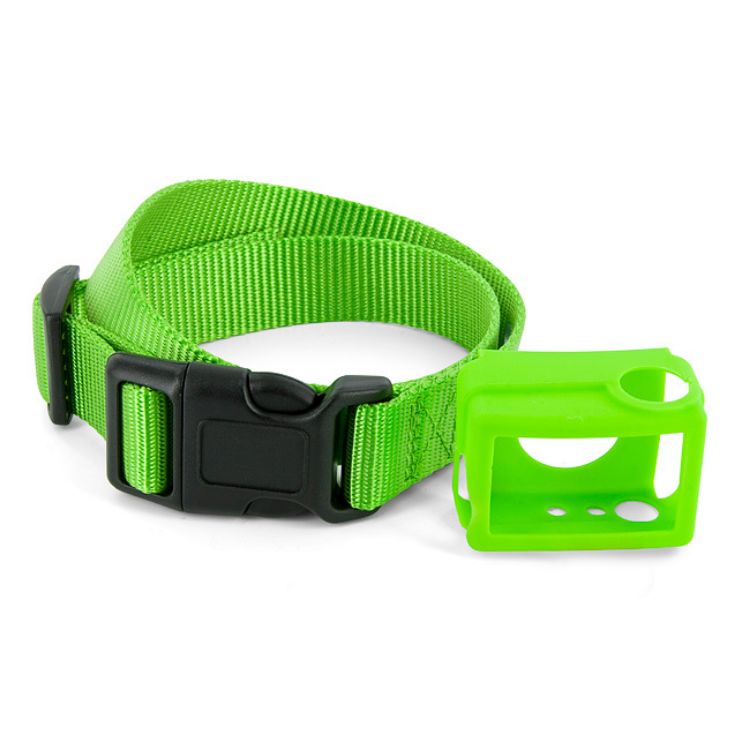 PetSafe Big Dog Spray Bark Control Collar Skin Green