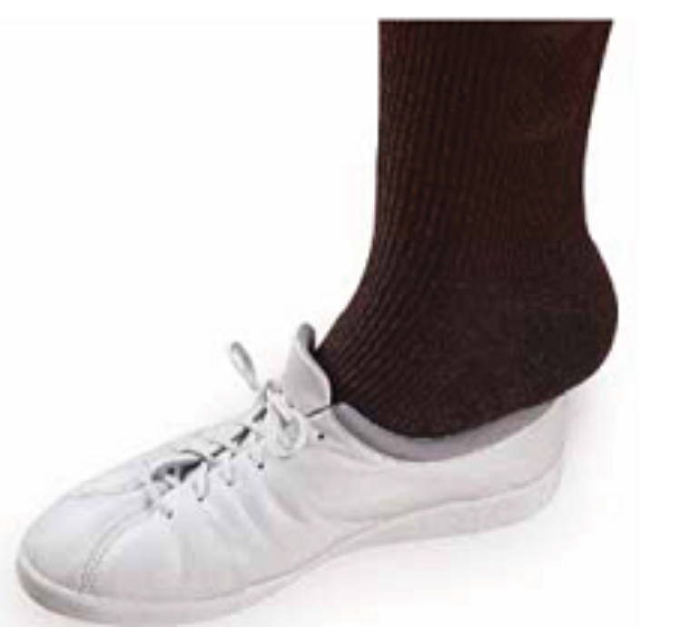 Flat Elastic Shoe Laces