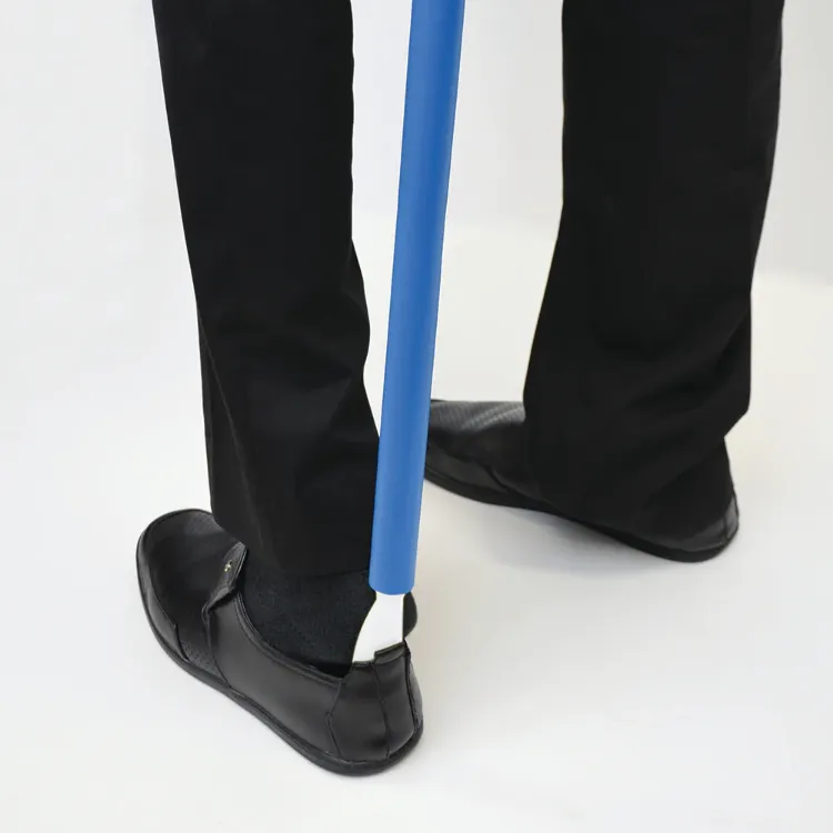 Dressing Stick and Shoehorn