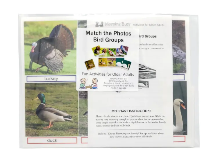 Match the Photos, Bird Groups