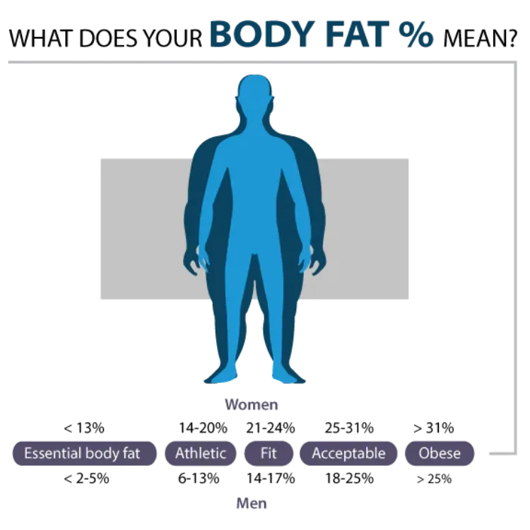 Glass Lithium Body Fat Scale