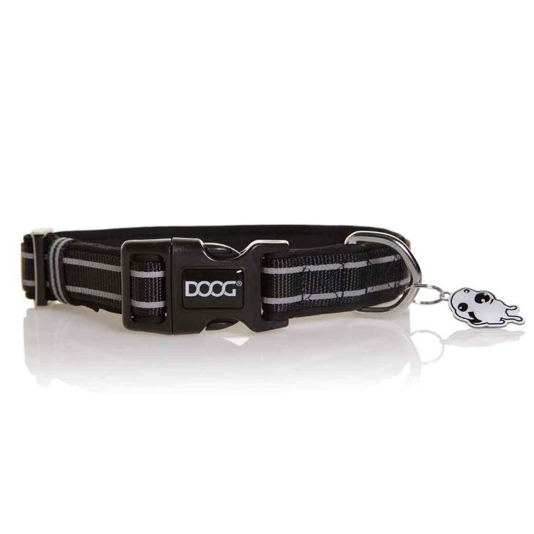 Neoprene Dog Collar Lassie