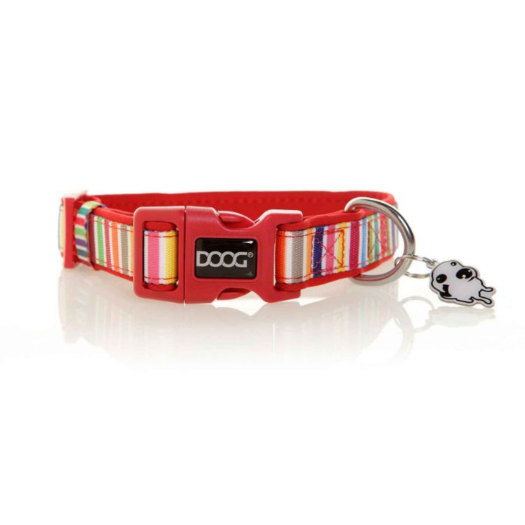 Neoprene Dog Collar Scooby