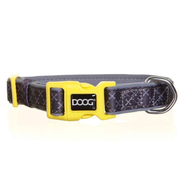 Neoprene Dog Collar Odie