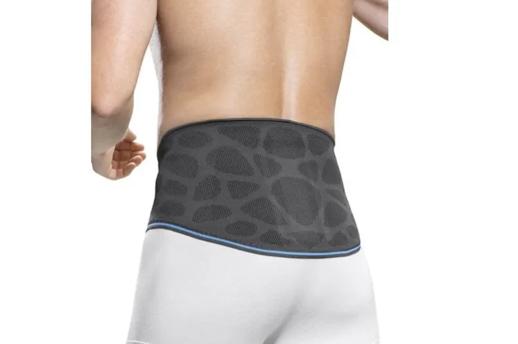 Dynamics Plus Lumbar Support