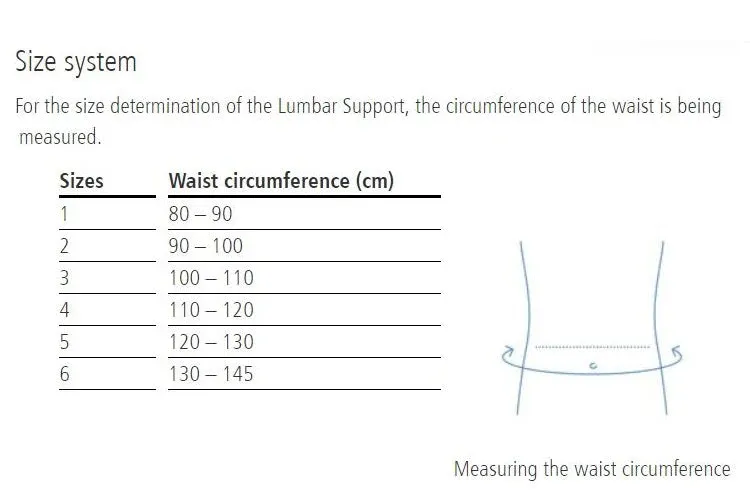 Dynamics Plus Lumbar Support